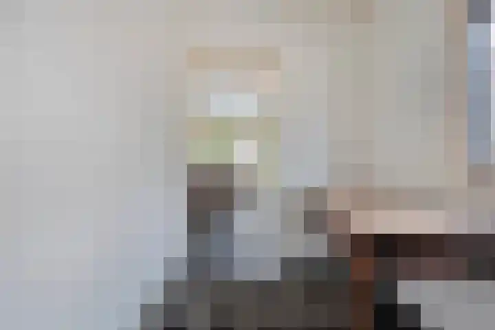 Molenberg 37 Reusel thumbnail 52