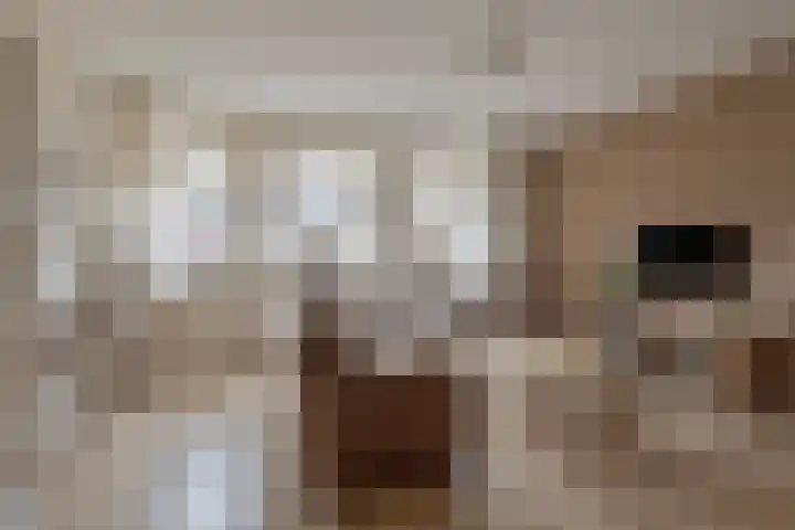 Molenberg 4 d Reusel thumbnail 10