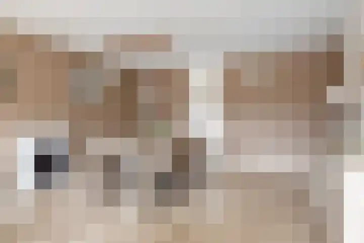 Molenberg 4 d Reusel thumbnail 13