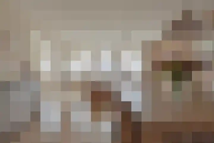 Molenberg 4 d Reusel thumbnail 14