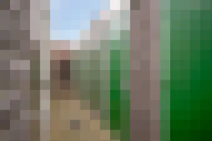 Molenberg 4 d Reusel thumbnail 34