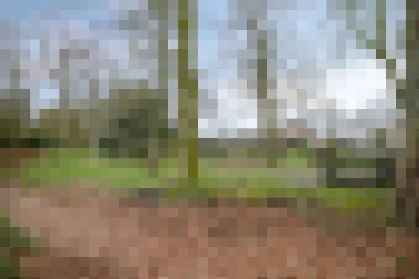 Molenberg 4 d Reusel thumbnail 43