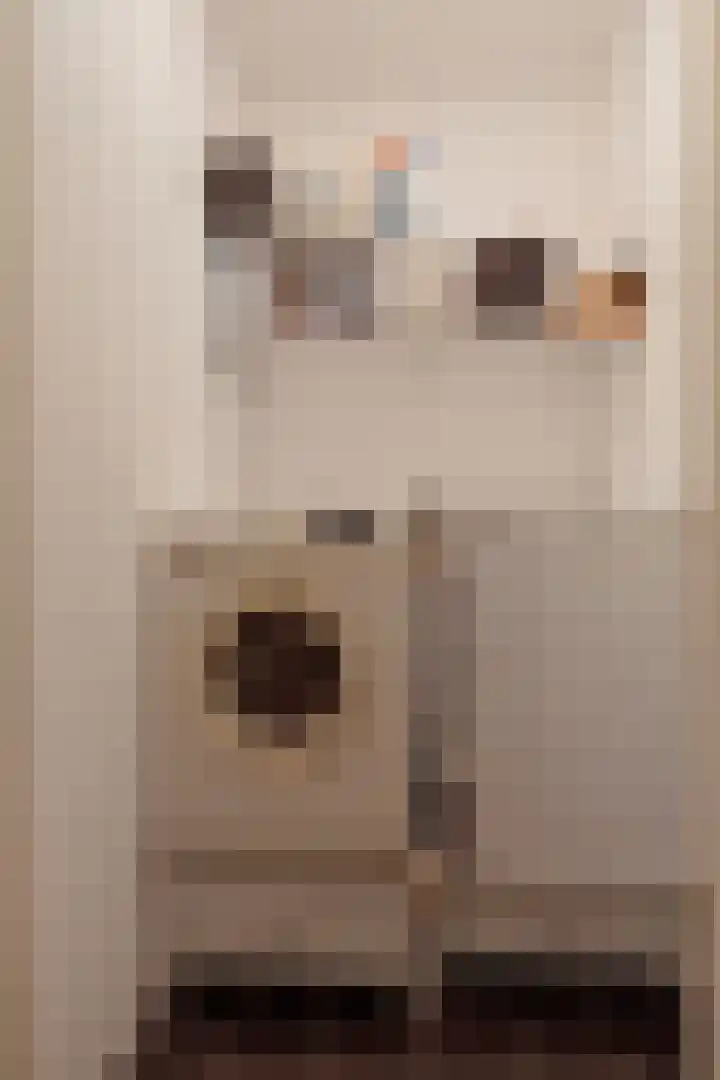 Molenberg 4 d Reusel thumbnail 9