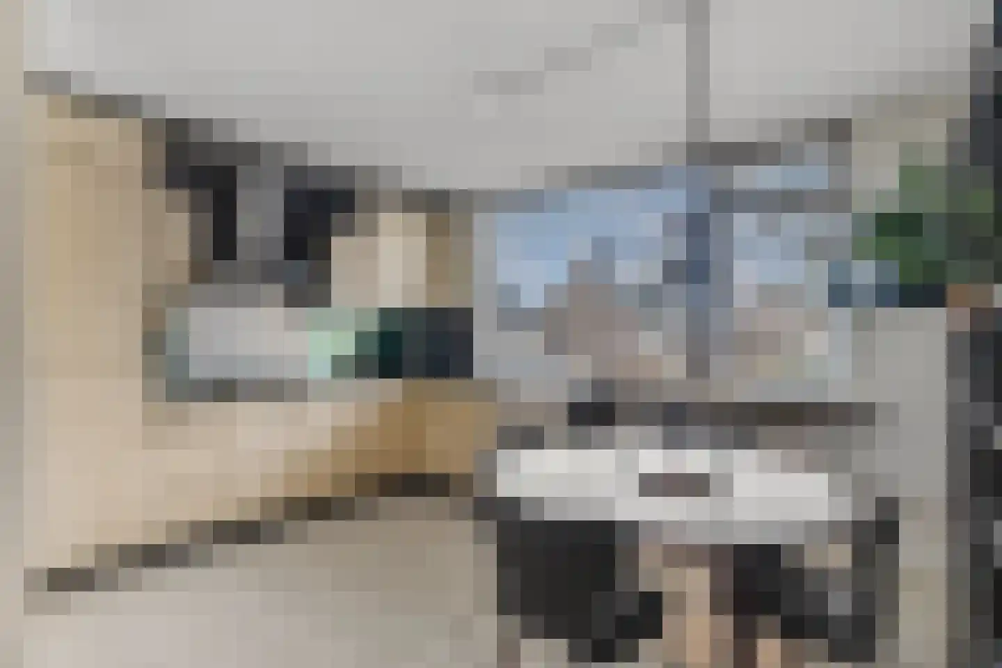 Molenberg 41 Rhenen thumbnail 13