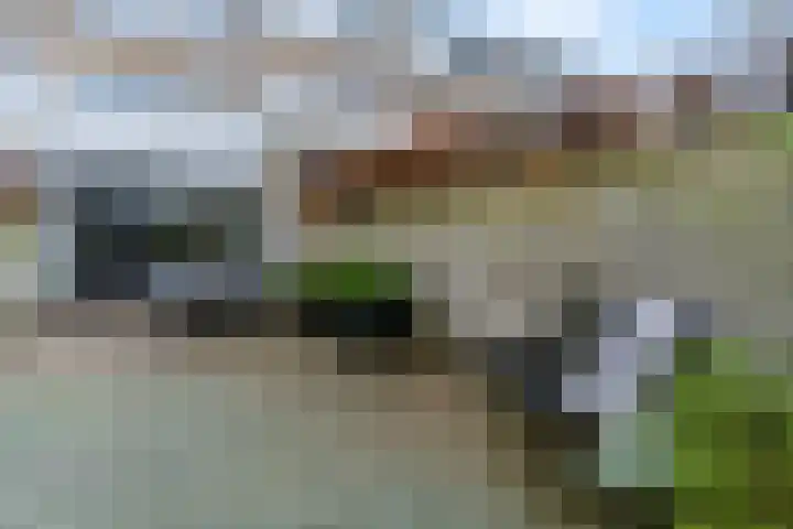 Molenberg 41 Rhenen thumbnail 34