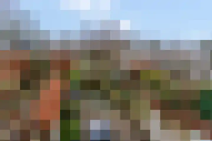 Molenberg 41 Rhenen thumbnail 36