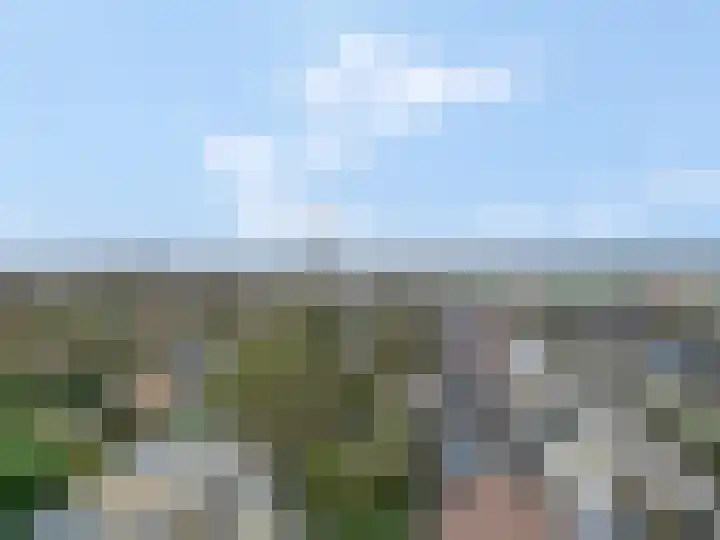 Molenberg 41 Rhenen thumbnail 39