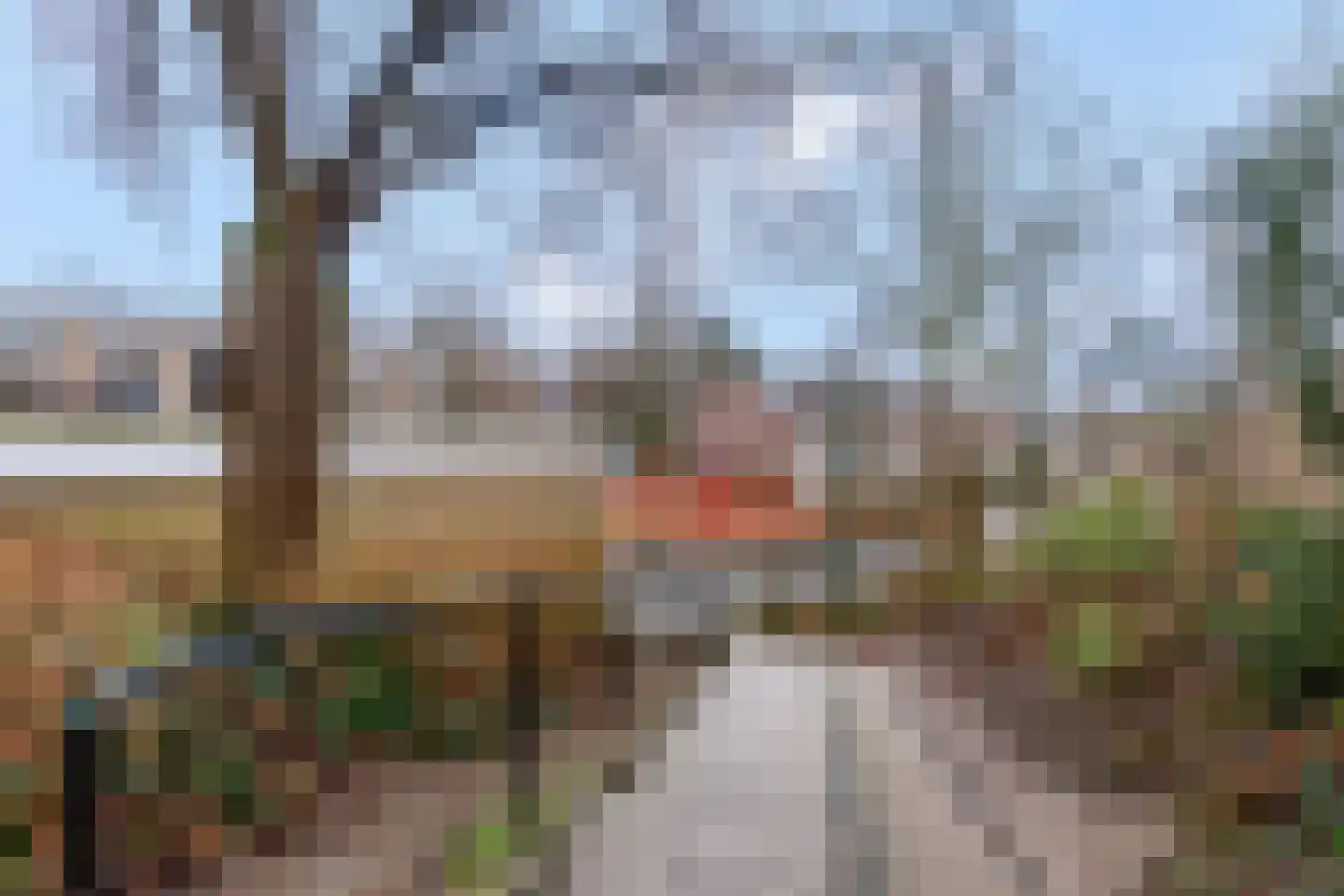 Molenberg 41 Rhenen thumbnail 41