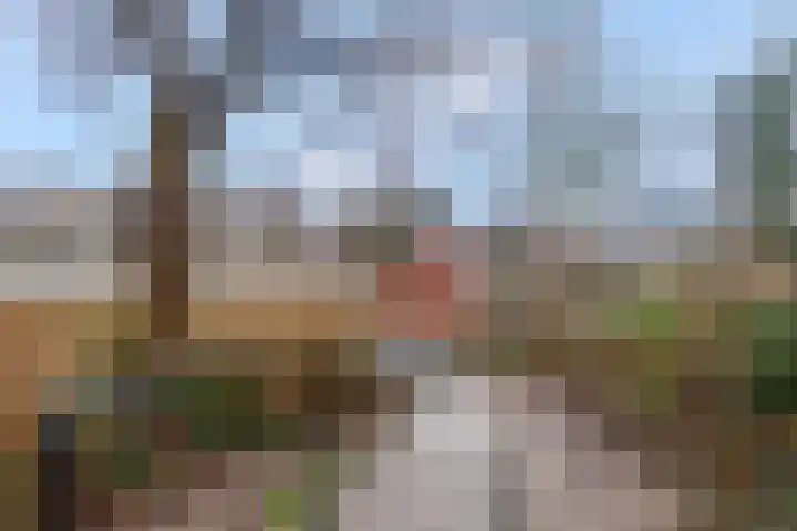 Molenberg 41 Rhenen thumbnail 41