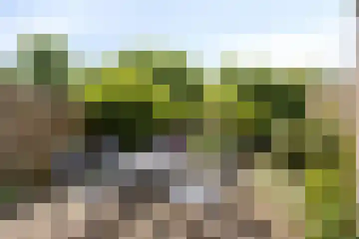 Molenberg 53 Rhenen thumbnail 23