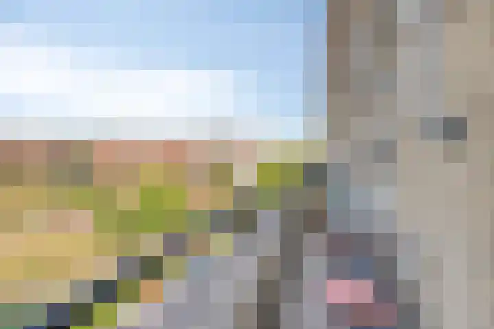 Molenberg 6 's-Hertogenbosch thumbnail 6