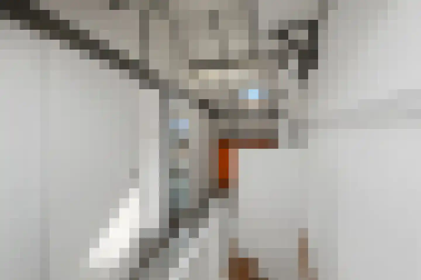 Molenberg 63 Rhenen thumbnail 23