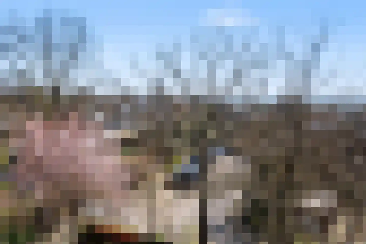 Molenberg 63 Rhenen thumbnail 34