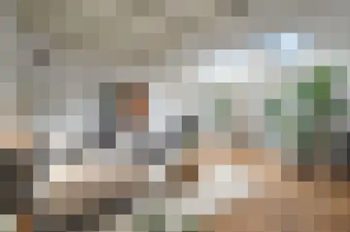 Molenberg 9 Huizen thumbnail 12