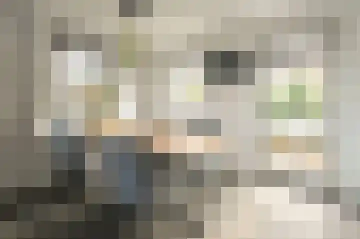 Molenberg 9 Huizen thumbnail 16