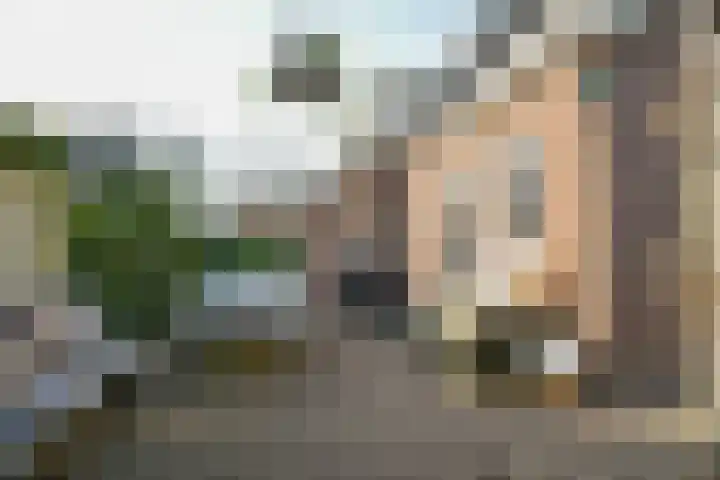 Molenberg 9 Huizen thumbnail 33