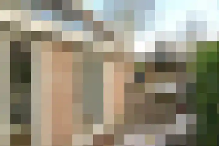 Molenberg 9 Huizen thumbnail 34
