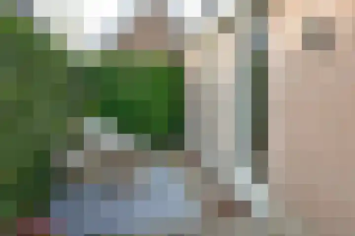 Molenberg 9 Huizen thumbnail 35