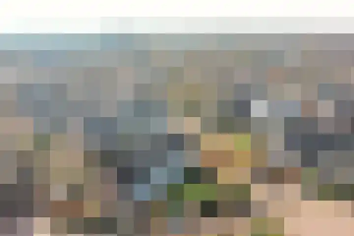 Molenberg 9 Huizen thumbnail 36