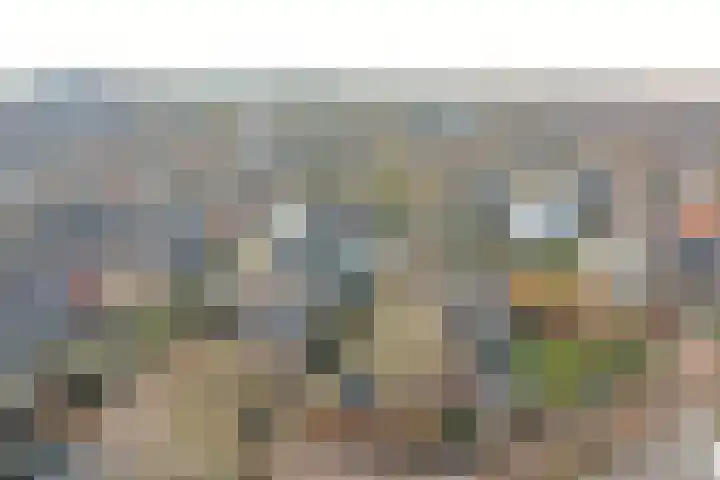 Molenberg 9 Huizen thumbnail 4