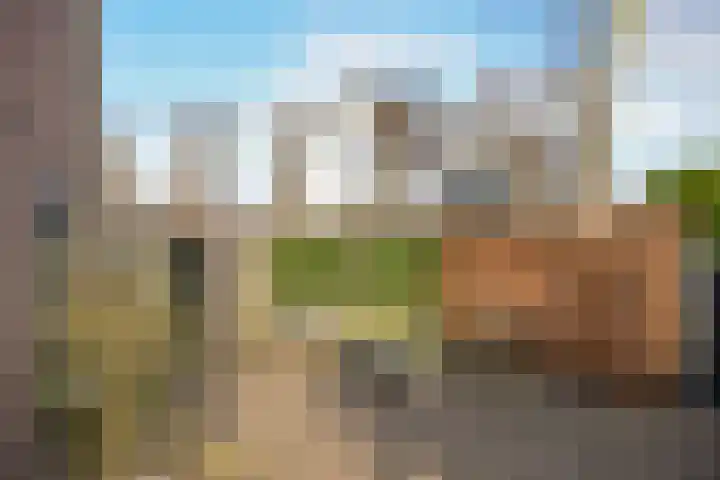 Molenberg 9 Huizen thumbnail 7