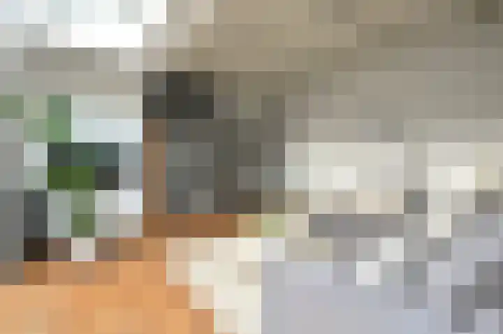 Molenberg 9 Huizen thumbnail 9