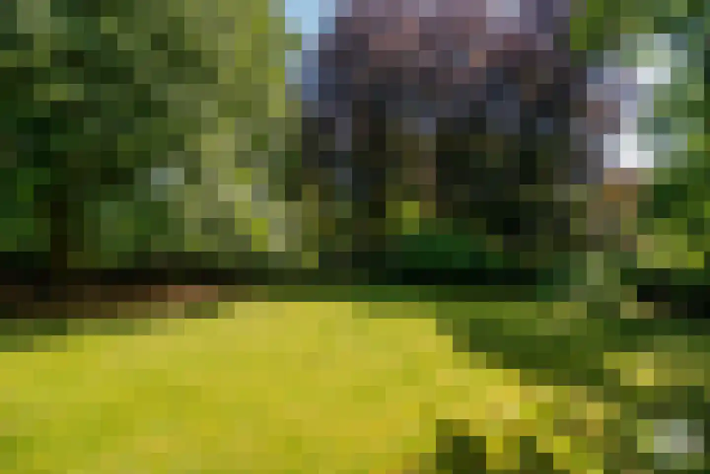 Molenbergdreef 1 Putte thumbnail 10