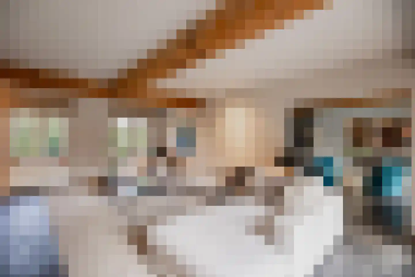 Molenbergdreef 1 Putte thumbnail 14