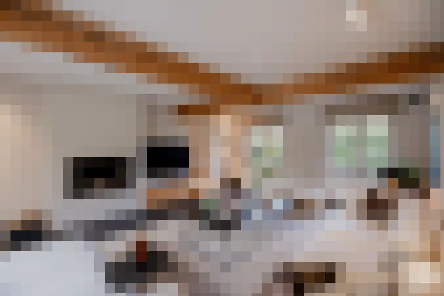 Molenbergdreef 1 Putte thumbnail 15