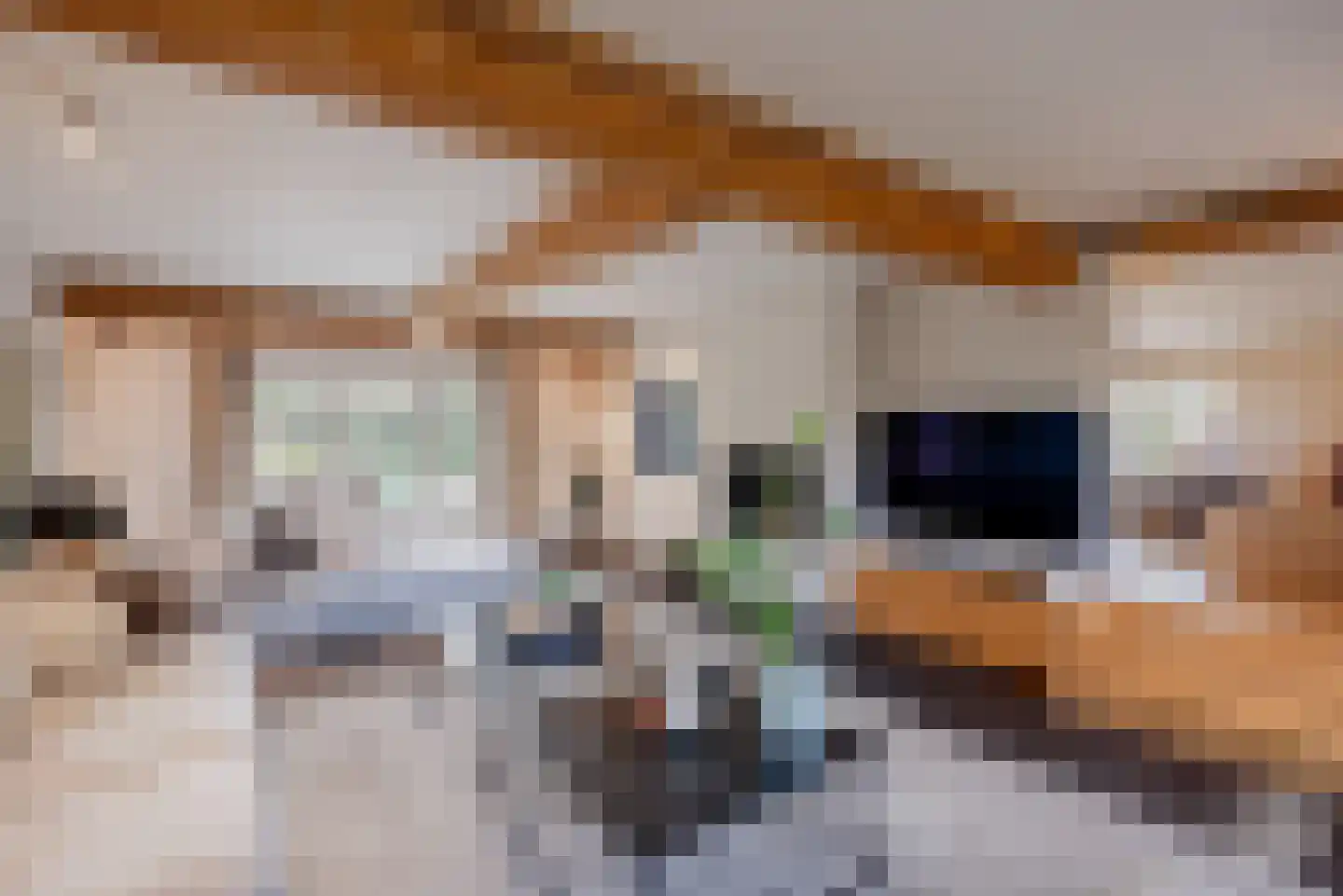 Molenbergdreef 1 Putte thumbnail 16
