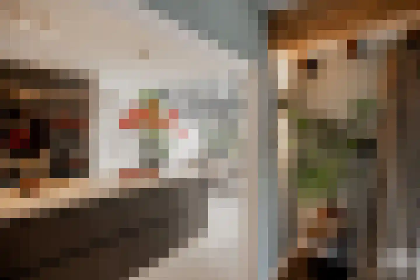 Molenbergdreef 1 Putte thumbnail 18