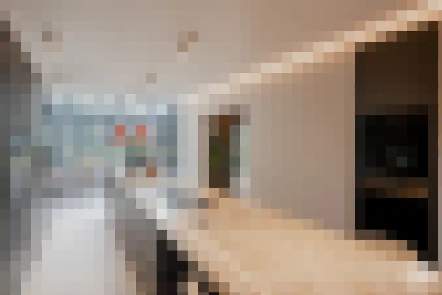 Molenbergdreef 1 Putte thumbnail 19