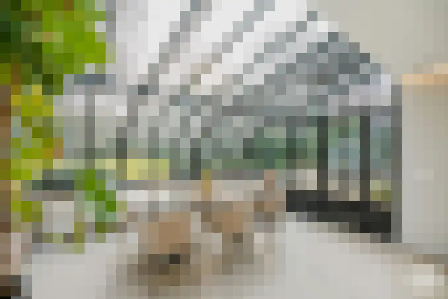 Molenbergdreef 1 Putte thumbnail 21