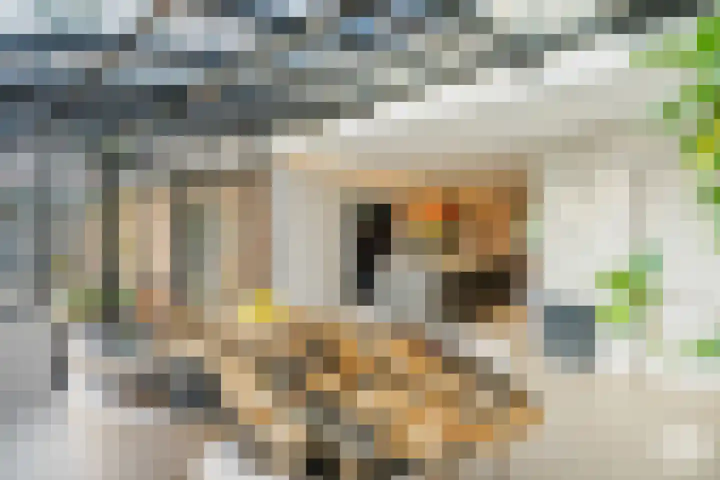 Molenbergdreef 1 Putte thumbnail 22