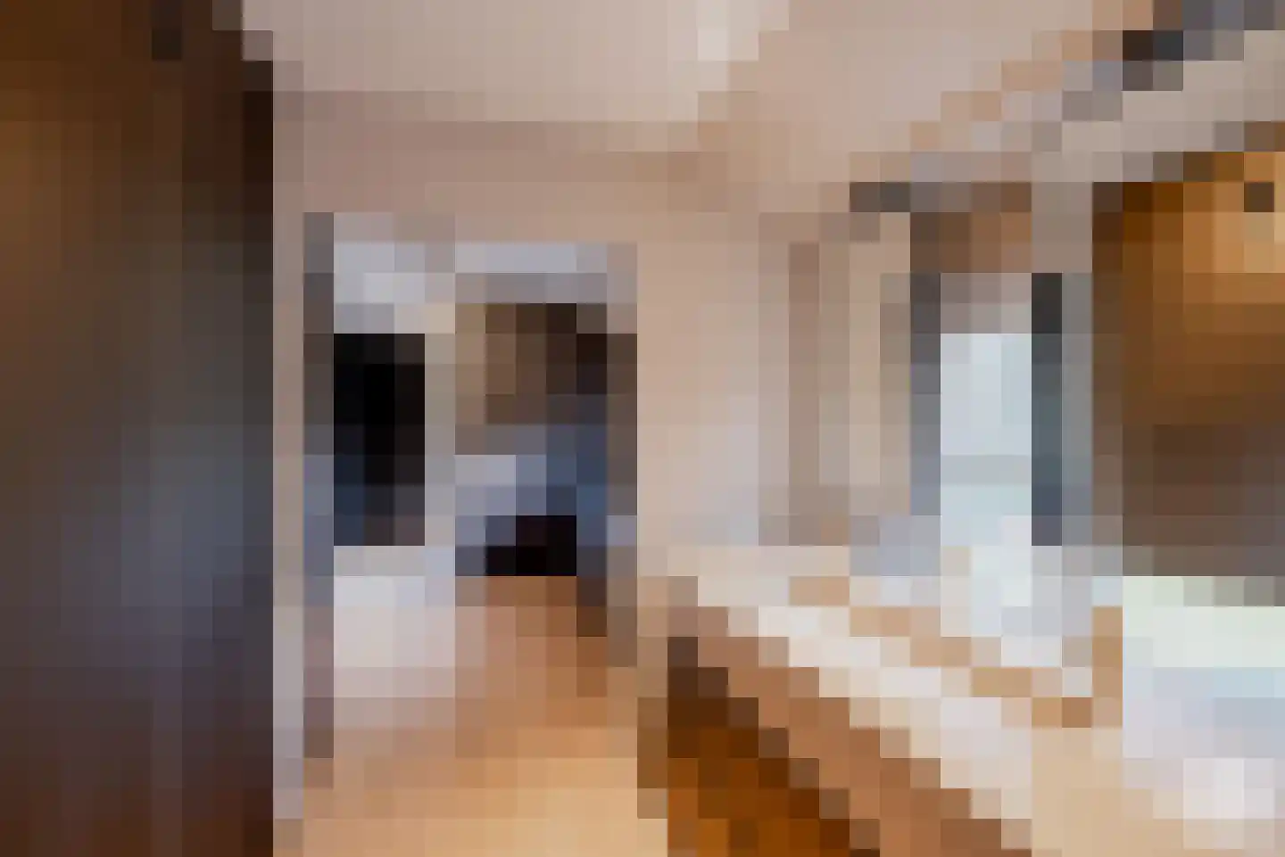 Molenbergdreef 1 Putte thumbnail 29