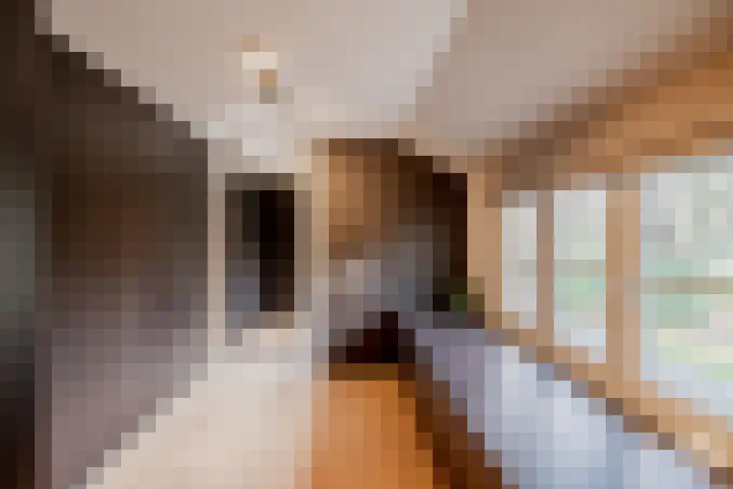 Molenbergdreef 1 Putte thumbnail 31