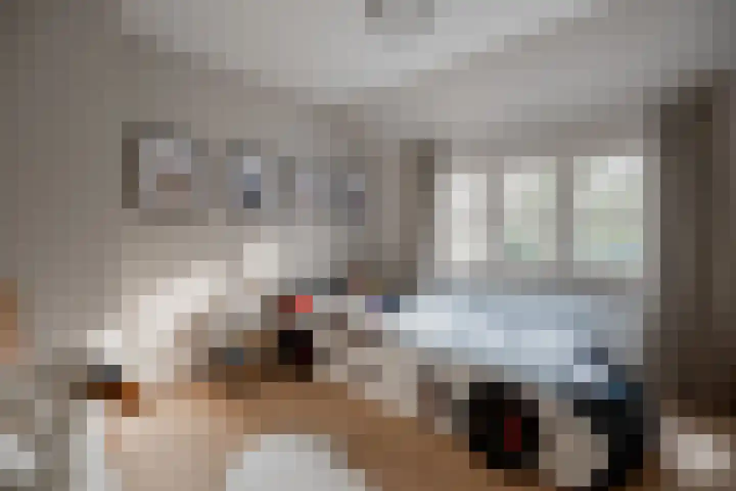 Molenbergdreef 1 Putte thumbnail 32
