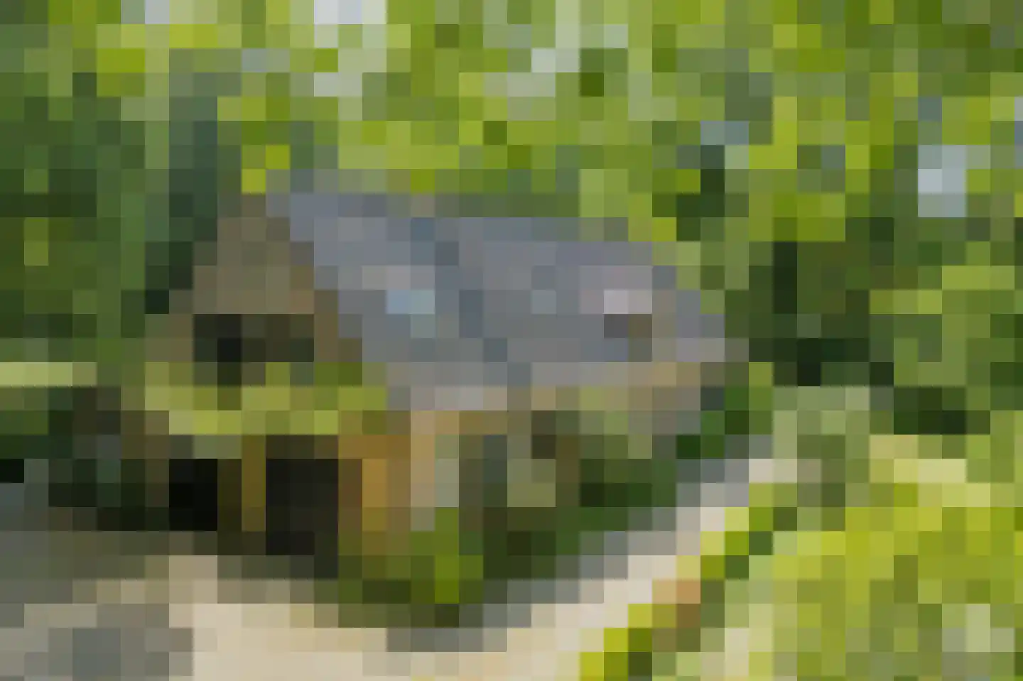 Molenbergdreef 1 Putte thumbnail 4