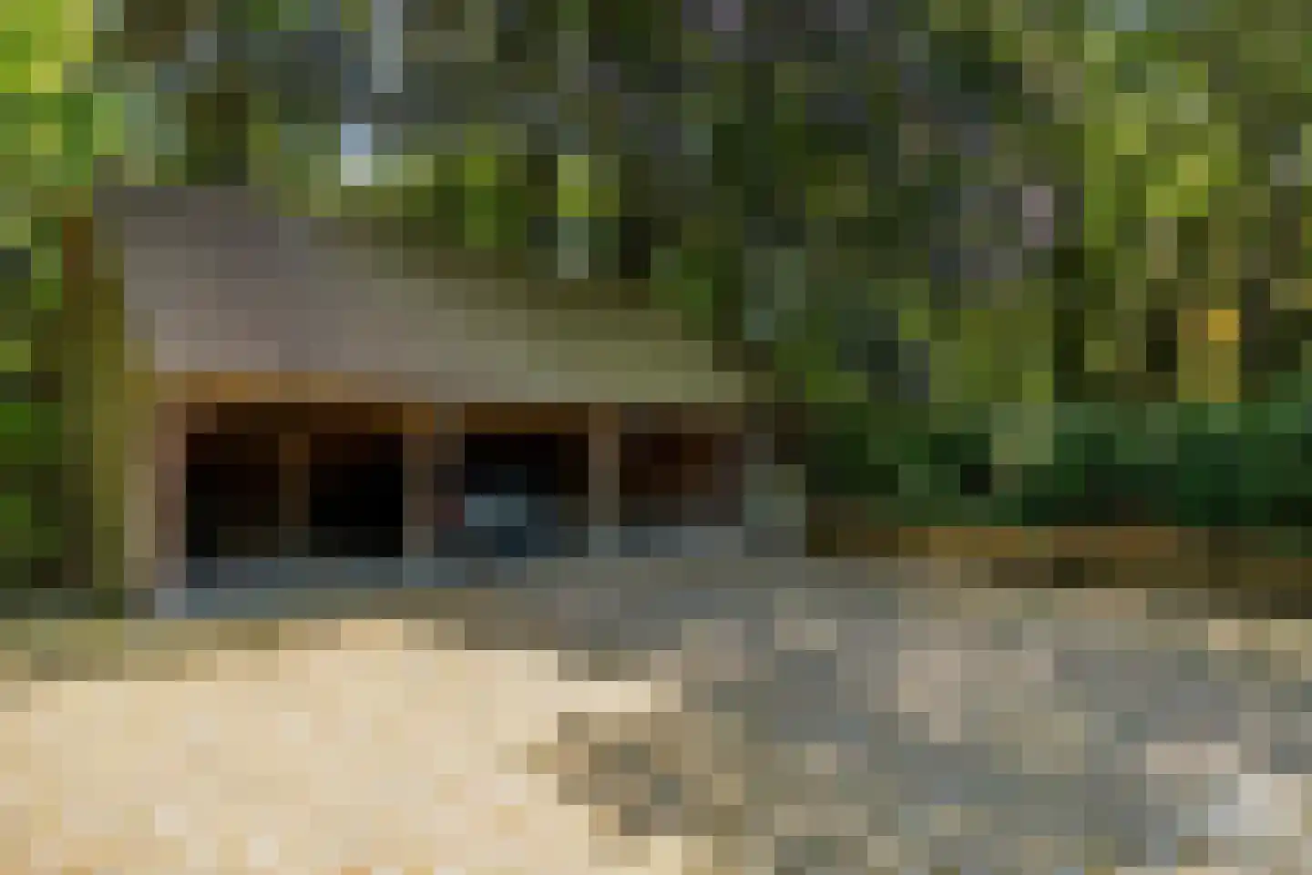 Molenbergdreef 1 Putte thumbnail 5