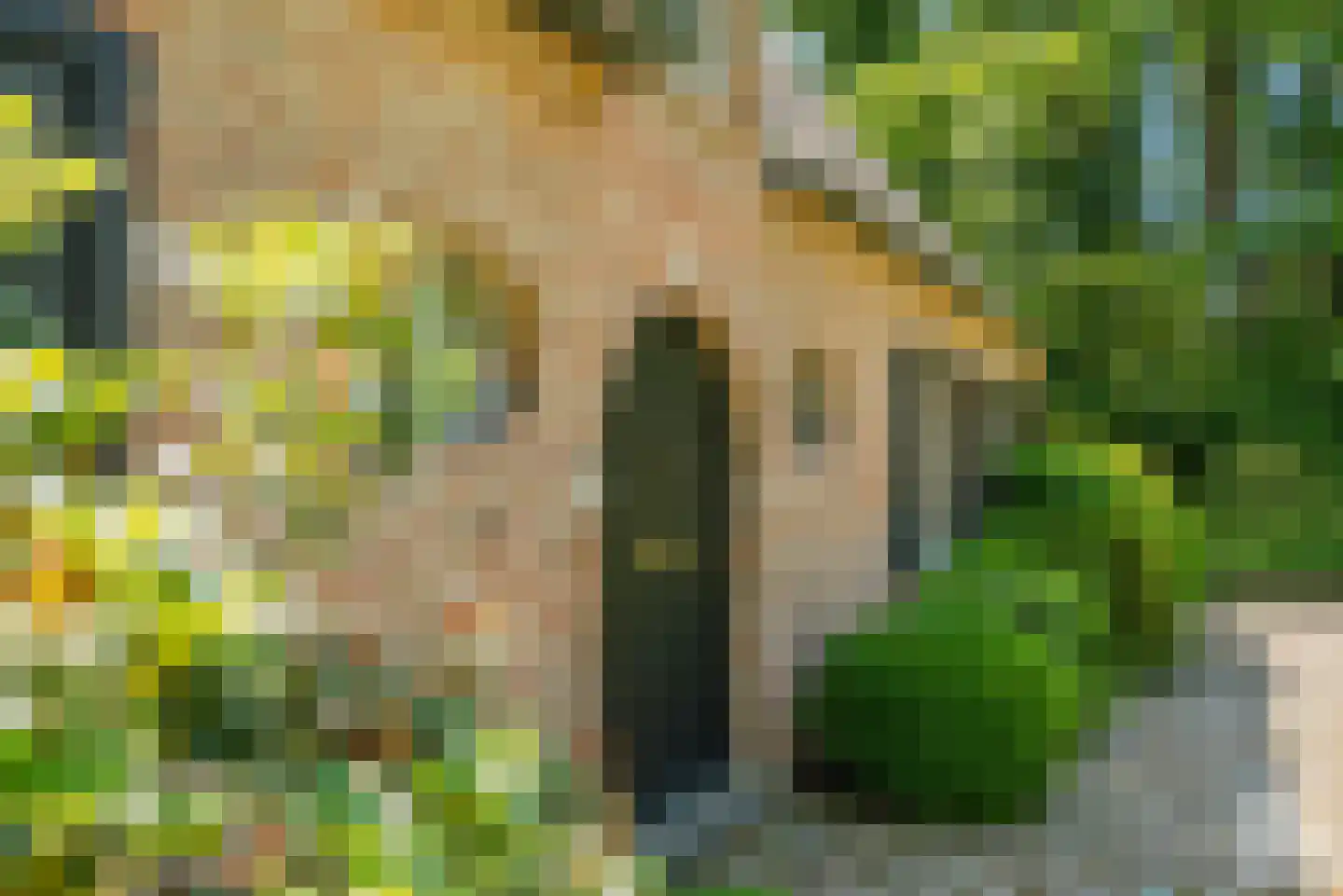 Molenbergdreef 1 Putte thumbnail 6