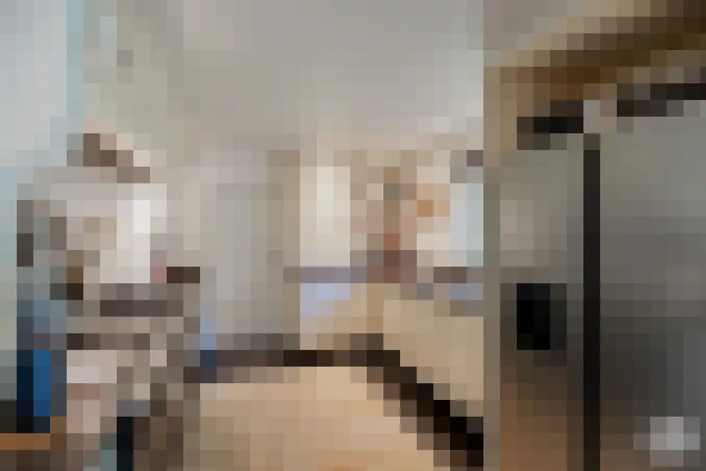 Molenbergdreef 10 Putte thumbnail 10
