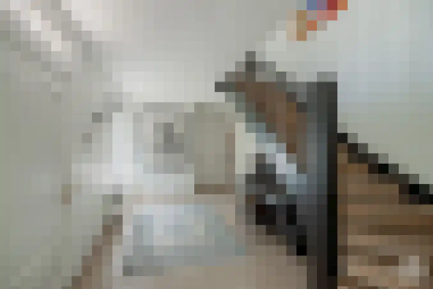 Molenbergdreef 10 Putte thumbnail 12