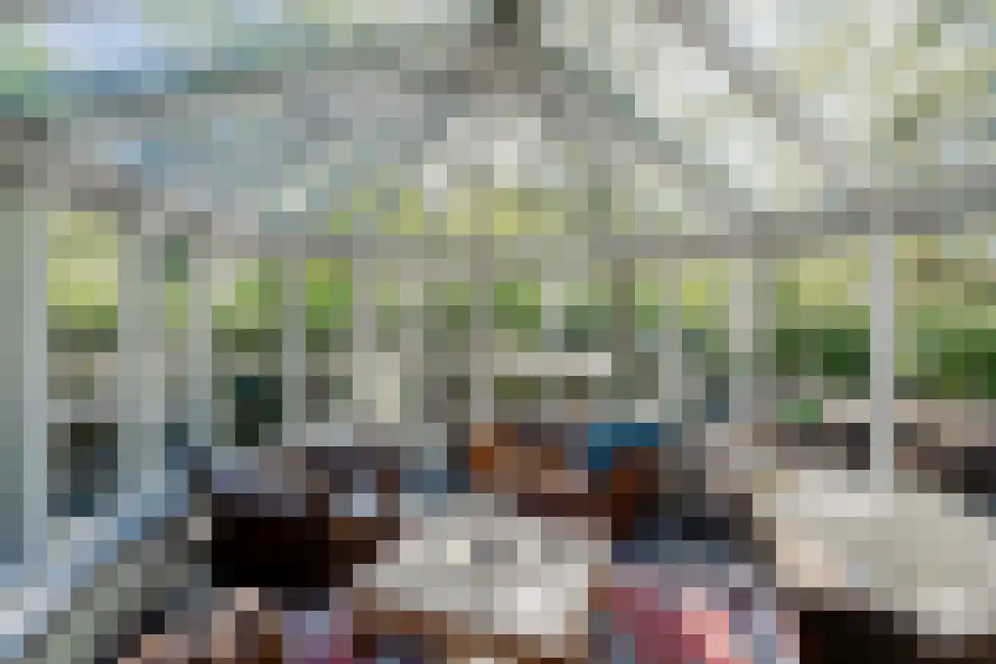 Molenbergdreef 10 Putte thumbnail 16