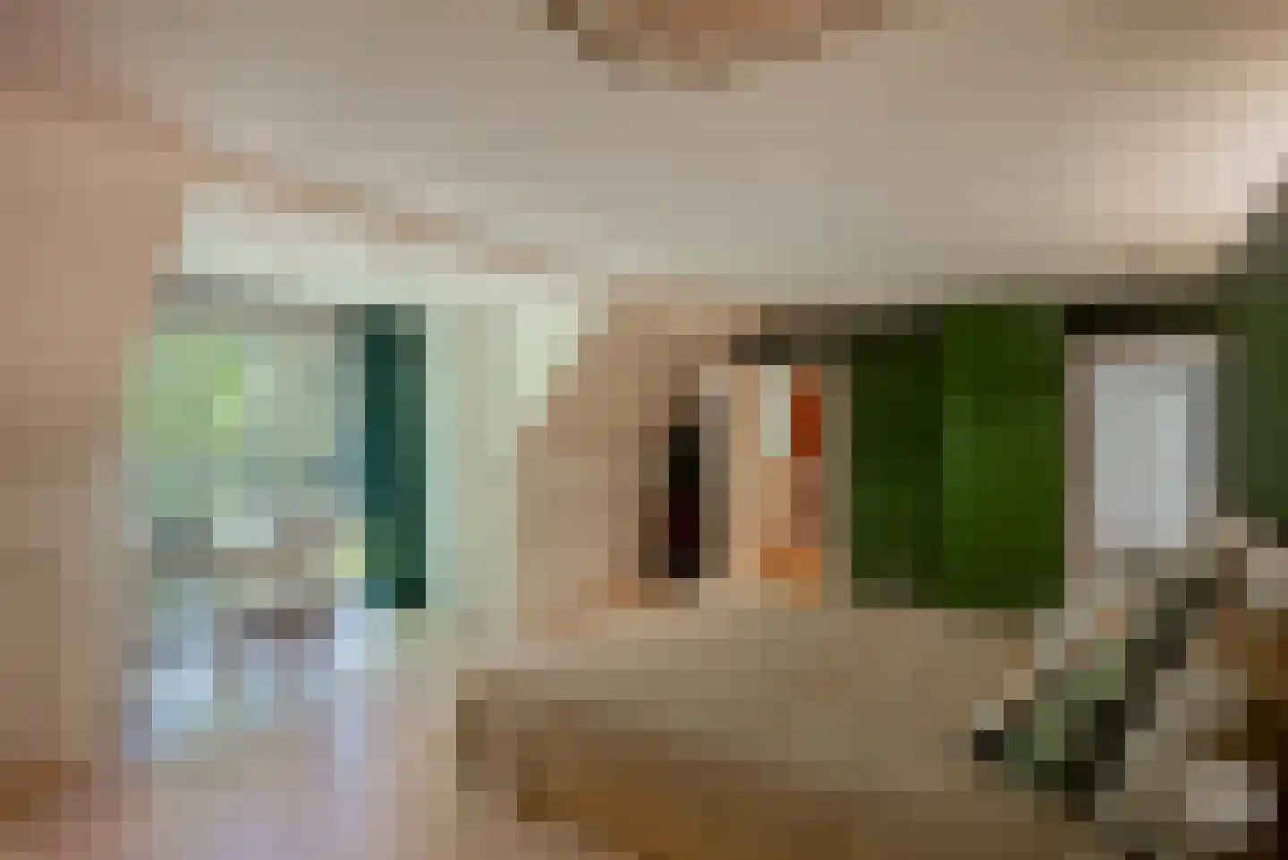 Molenbergdreef 10 Putte thumbnail 19