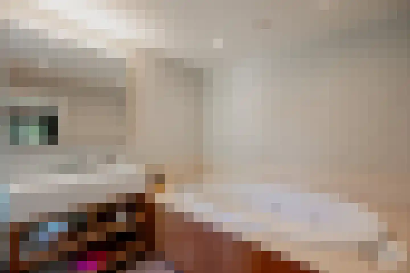 Molenbergdreef 10 Putte thumbnail 21