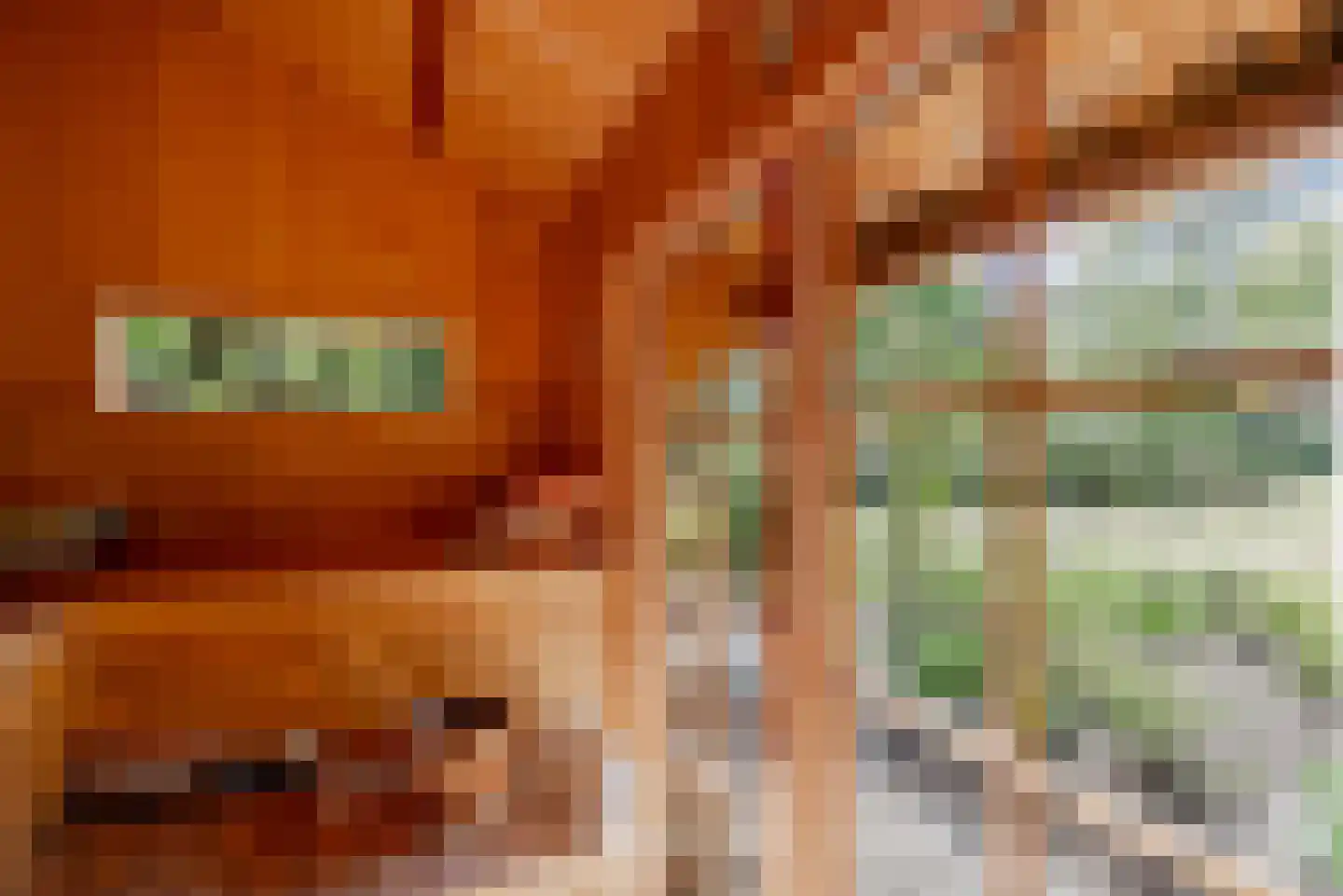 Molenbergdreef 10 Putte thumbnail 28