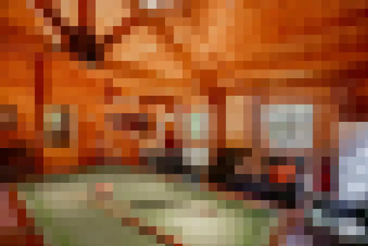 Molenbergdreef 10 Putte thumbnail 29