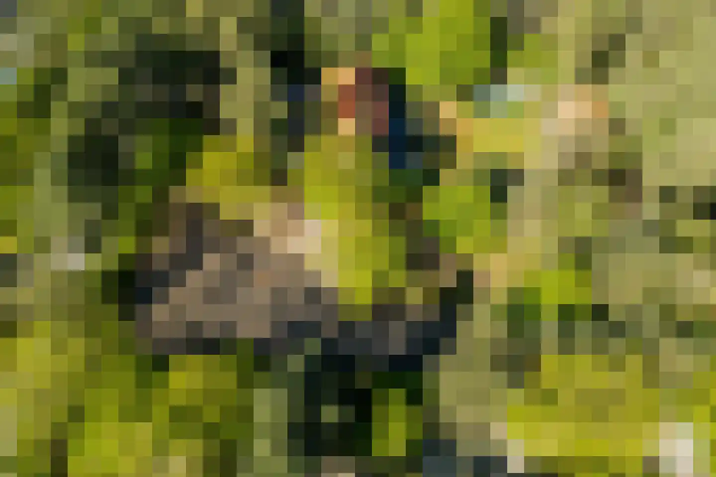 Molenbergdreef 10 Putte thumbnail 4