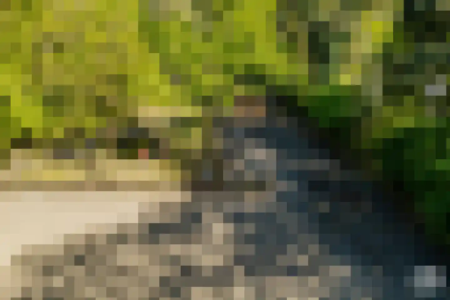 Molenbergdreef 10 Putte thumbnail 5