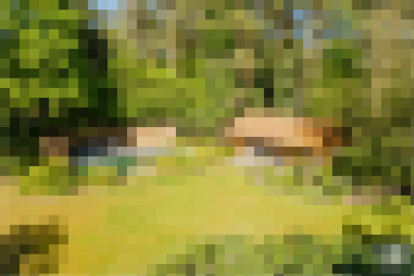 Molenbergdreef 10 Putte thumbnail 7